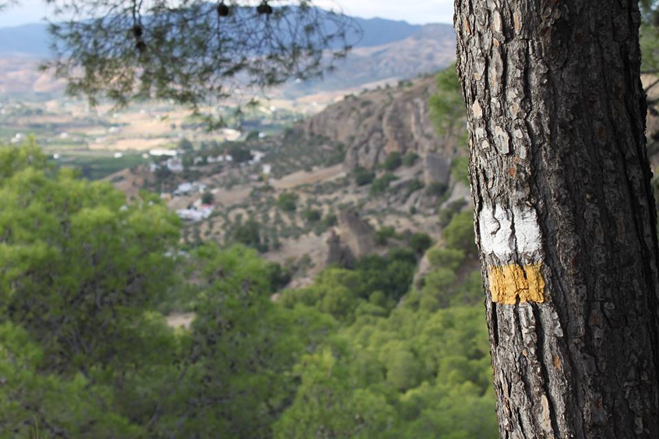 Publicada la convocatoria para la concesi�n de ayudas 2017 con cargo al marco de la submedida 19.2 del Programa de Desarrollo Rural de Andaluc�a 2014-2020.